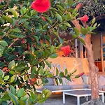 Casa Colori - Entspannen Mit Meerblick Apartment